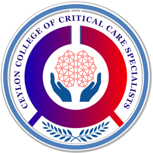 4CS Logo
